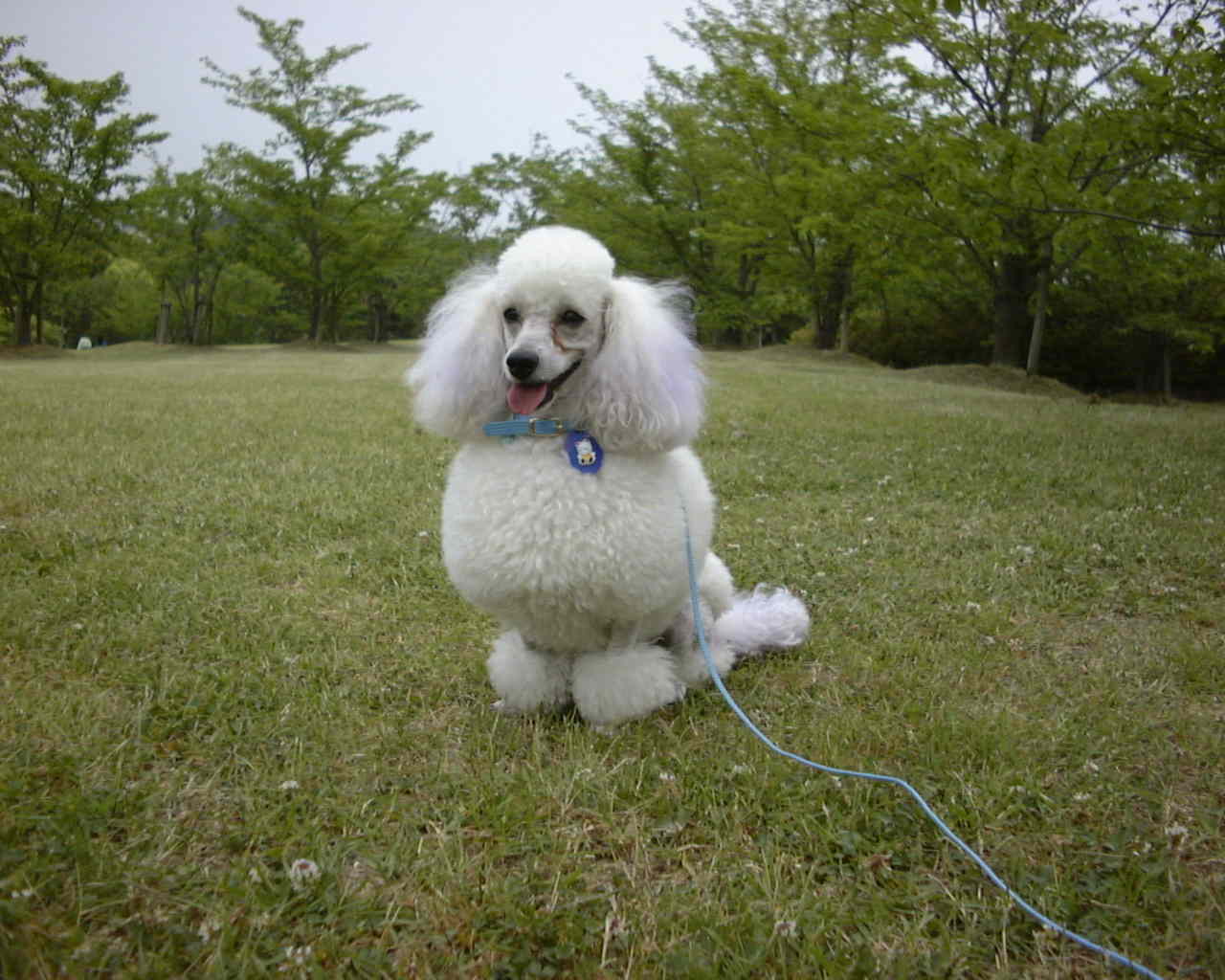 ���������Ȍ����ŁE�E�E