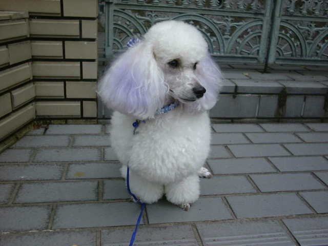 ����[����[���킢��