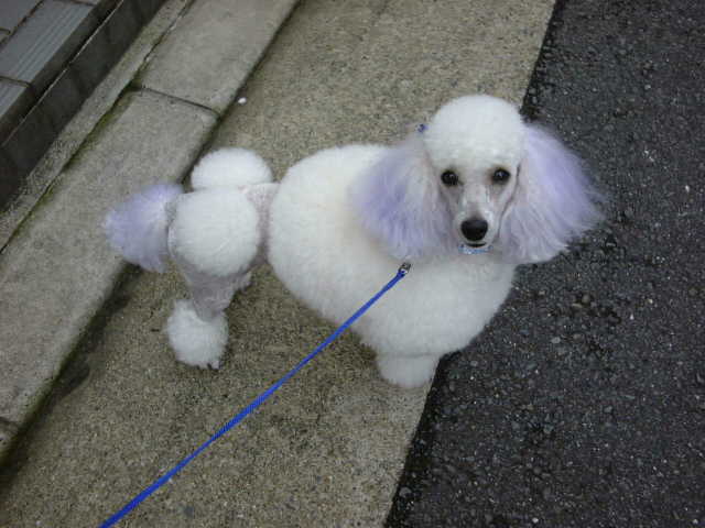 �������߂�ꂿ������́E�E�E