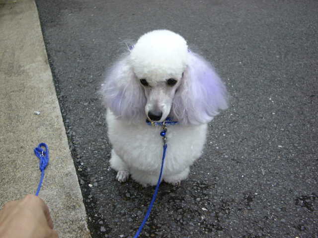 ���񂤂�(^�^)