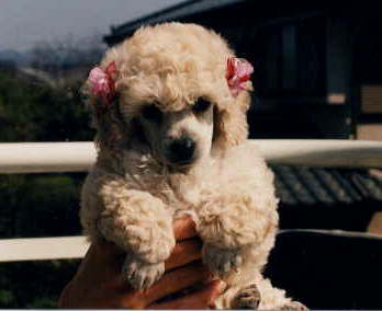 ���Ƃւ������̓��ł��I